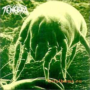 Tenebra - Tenebra - 1994 (MP3 + LOSSLESS)
