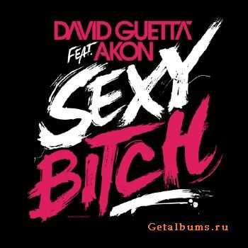 David Guetta Feat. Akon - Sexy Bitch / Sexy Chick (CDM) (2009) LOSSLESS