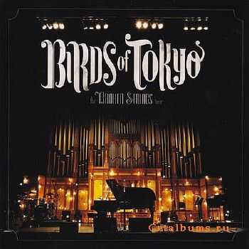 Birds of Tokyo - The Broken Strings Tour (2010)