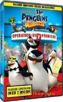 The Penguins Of Madagascar: Operation: DVD Premiere (2010) DVDRip