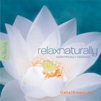 Dan Gibson's Solitudes - Relax Naturally (2009)