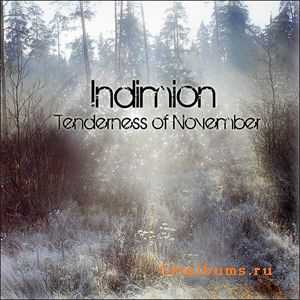 Indimion - Tenderness of November (2010)