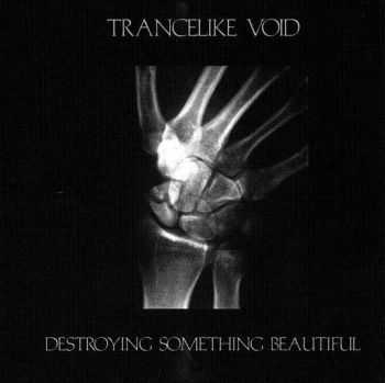 Trancelike Void - Destroying Something Beautiful (2008)