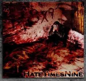 HateTimesNine - Shadows (2010)