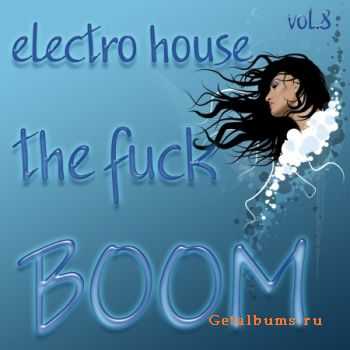 Electro-House The Fuck boom vol.8 (2010)