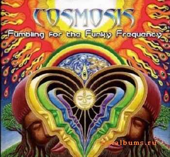 Cosmosis - "Fumbling for The Funky Frequency" (2OO9)