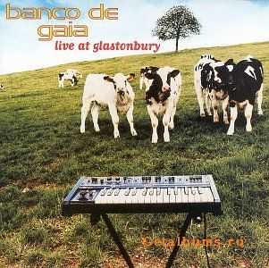 Banco de gaya - Live at Glastonbury