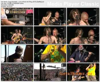 Gogol Bordello - Live at Rock Am Ring (2010) [SatRip]