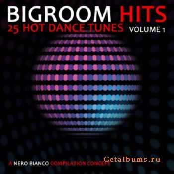 Bigroom Hits: Volume 1 (2010)