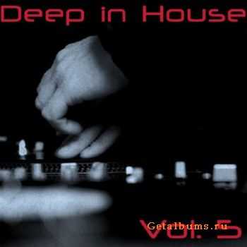 Deep In House Volume 5 (2010)