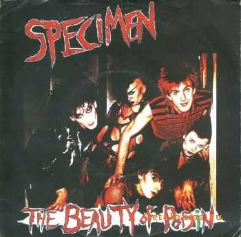 Specimen - The Beauty Of Poisin (1983)