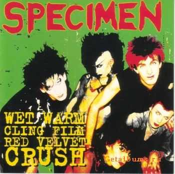 Specimen - Wet Warm Clingfilm Red Velvet Crush (1997)