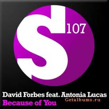 David Forbes feat. Antonia Lucas - Because Of You (2009) LOSSLESS