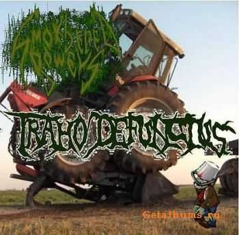 Smothered bowels - Traho defunctus (EP) (2010)