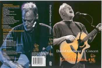 David Gilmour - In Concert(2002)[DVD9]