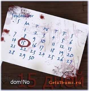 dom!No - 15  (2010)