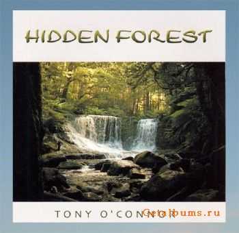 Tony O'Connor - Hidden Forest (1993)