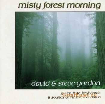 David & Steve Gordon - Misty Forest Morning (1998)