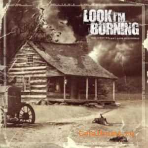 Look I'm Burning - This Is Why We Can't Have Nice Things (2010)