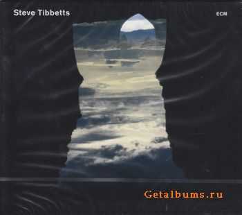 Steve Tibbetts - Natural Causes (2010)