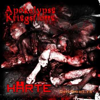  Apokalypse Kriegsflotte - H&#228;rte [demo]