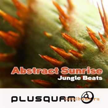 Abstract Sunrise - Jungle Beats EP (2010)