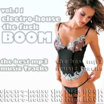 VA-Electro-House The F.uck boom vol 11 - (2010)