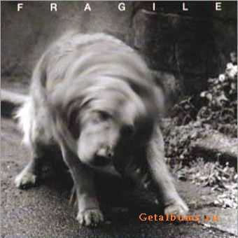 Fragile (with Mike Stern) - No Wet (1999)