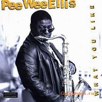 Pee Wee Ellis & NDR Big Band - What You Like (1997)