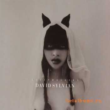  David Sylvian  Sleepwalkers (2010) FLAC