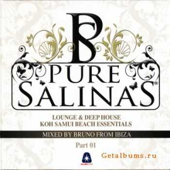 VA - Pure Salinas (2009)FLAC/MP3