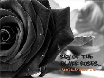 Sky of the black roses (  ) -   (Single) (2010)