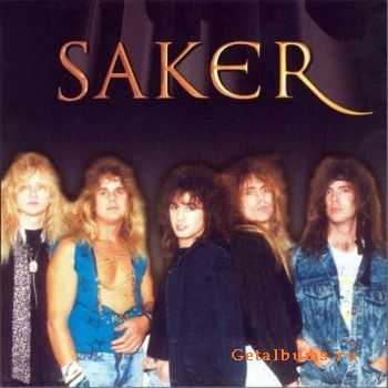 Saker (2010)