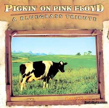   VA - Pickin' on Pink Floyd-A Bluegrass Tribute (2001)