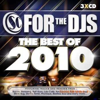 FOR THE DJS: Best of 2010 (2011)