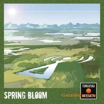 VA - Tunguska Electronic Music Society - Tunguska Artefacts Spring Bloom (2011)