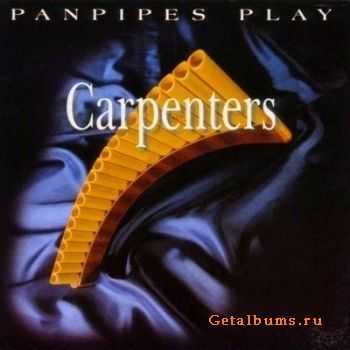 Ricardo Caliente - Panpipes play The Bee Gees (2011)