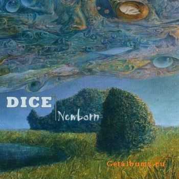 Dice - Newborn 2011
