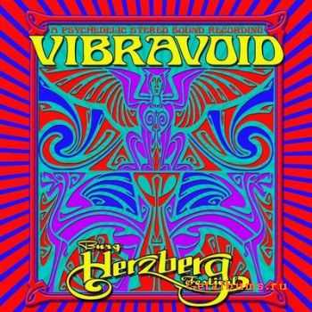 Vibravoid - Live At Burg Herzberg Festival (2010)