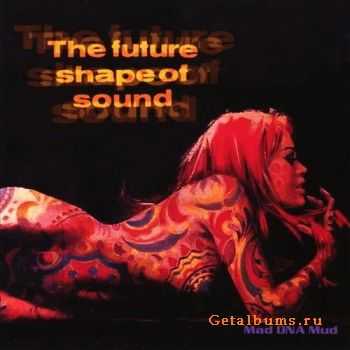 The Future Shape Of Sound - Mad DNA Mud (2004)