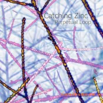 Perpetual Loop - Catching Zinc (2009)