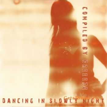 VA - Dancing In Slowly Night (2010)