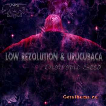 Low Rezolution & Urucubaca  Olotropic Seed (2011)