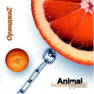 Animal Z - Z (2002) Live.