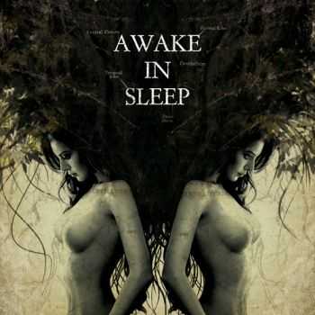 Awake in Sleep - Awake in Sleep (2011)