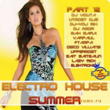 VA - Electro House Summer 2011 Part 12  (2011)