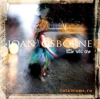 Joan Osborne - Little Wild One (2008) (Lossless) + MP3