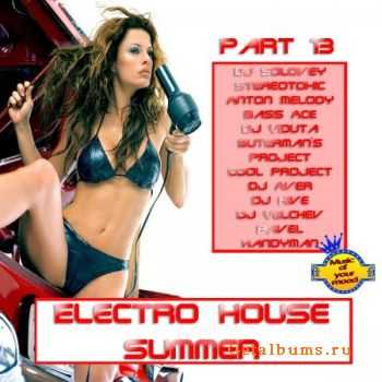 VA - Electro House Summer 2011 Part 13  (2011)