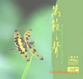 VA - First Impression Music Nature`s Concertos (2005)(lossless+mp3)