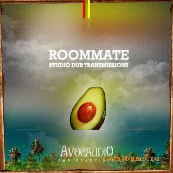 Roommate - Studio Dub Transmissions (2011)